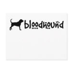 Bloodhound With Cool Text (wide) Post Cards