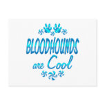 Bloodhounds are Cool Post Cards