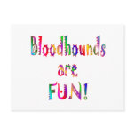 Bloodhounds are Fun Post Cards