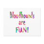 Bloodhounds are Fun Post Cards
