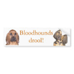 Bloodhounds drool! bumper stickers
