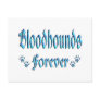 Bloodhounds Forever Post Card