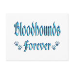 Bloodhounds Forever postcards