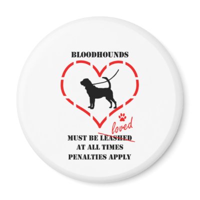 Bloodhounds Must Be Loved Fridge Magnet by miudezas