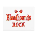 Bloodhounds Rock Post Card