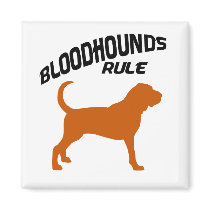 Bloodhounds Rule Fridge Magnets