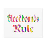 BLOODHOUNDS RULE POSTCARDS