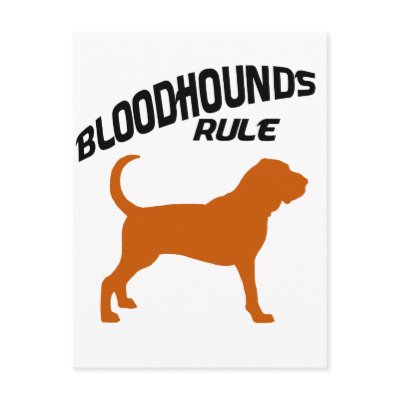 Bloodhounds Rule Postcard by dogsandhorses