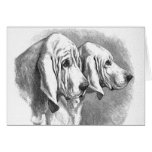 "Bloodhounds" Vintage Greeting Card