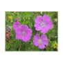 Bloody Cransebill flowers Post Card