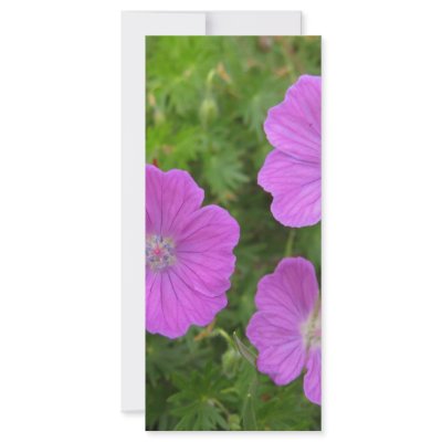 Bloody Cransebill flowers Rack Cards by BANNER25
