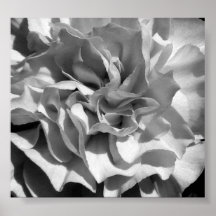 Bloom #4 print