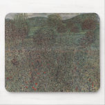 Bloom Field