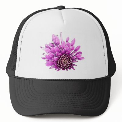 Bloom hat by potsphoto