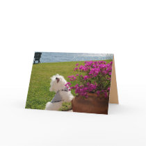 Bloom where you are planted greeting card