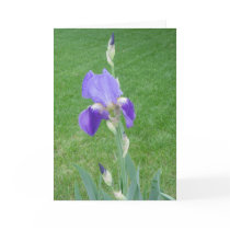 Bloom With Abundance Card