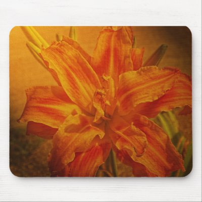 Bloom with Leather Texture Mouse Mats by jim270