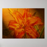 Bloom with Leather Texture posters