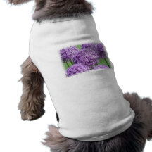 Blooming Allium Flowers  Pet Shirt