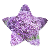 Blooming Allium Flowers  Stickers