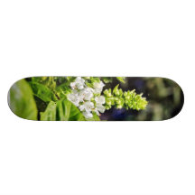 Blooming Bsail Skate Board Deck