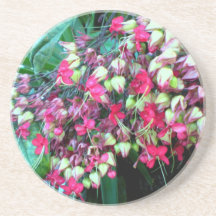 blooming coaster