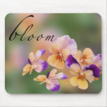 Blooming Colourful Garden Pansy's-  Mousepad