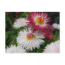 Blooming Delight Postcards