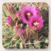 Blooming Devil's Tongue Barrel Cactus Coasters