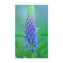 blooming flower home decor canvas print