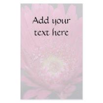Blooming Gerbera Flyer