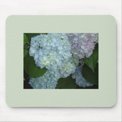 Blooming Hydrangeas mousepad by seashell2