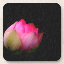 blooming lotus coasters