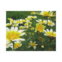 Blooming Meadow Stretched Canvas Print