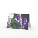 Blooming Purple Delphinium Greeting Card