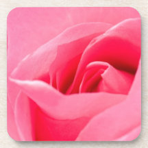 Blooming Rose Set  of Six Coasters