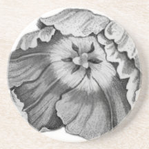 Blooming Tulip Beverage Coaster