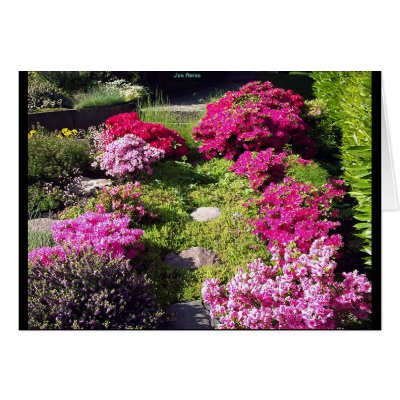 Bloomy Gardens 2 Greeting Cards by janMarco