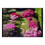 Bloomy Gardens 2 cards