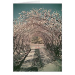 Blossom arch in Canberra -Retro Card