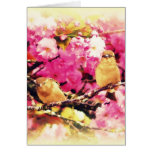 Blossom Birdies