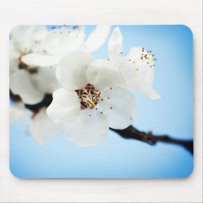 Blossom Clouds Mousepad by starlingphotos