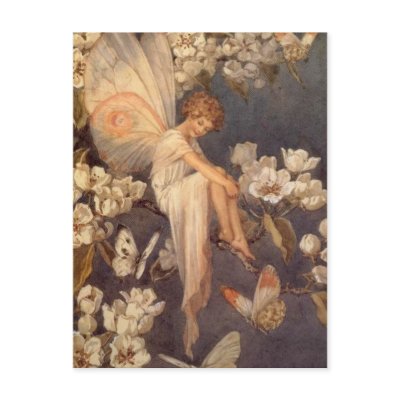 Blossom Fairy - Postcard by dchaddad