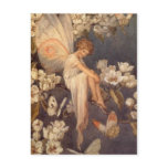 Blossom Fairy - Postcard