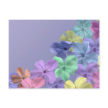Blossom Field postcards