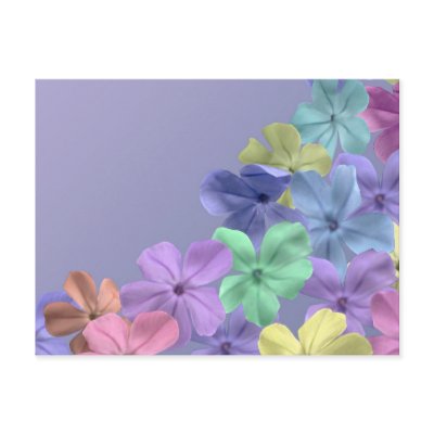 Blossom Field Postcard by roimim