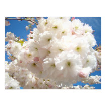 Blossom Flowers fine art Print Photography Floral