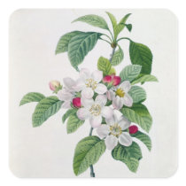 Blossom, from 'Les Choix des Plus Belles Square Sticker