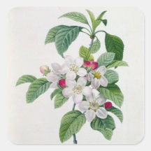 Blossom, from 'Les Choix des Plus Belles Square Sticker