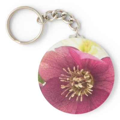 Blossom - Hellebore Close Up by Pretty_World